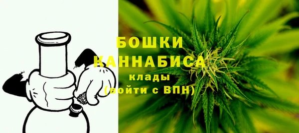 гашик Нефтекумск