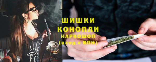 гашик Нефтекумск