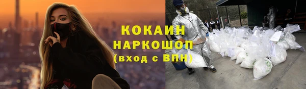 гашик Нефтекумск