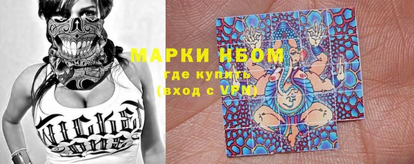 гашик Нефтекумск
