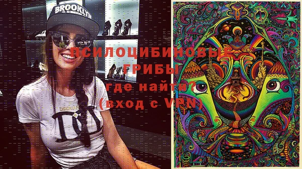 гашик Нефтекумск