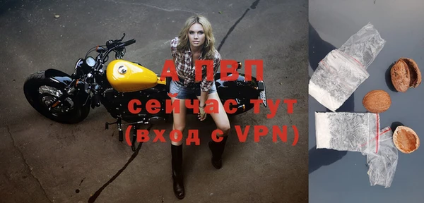 гашик Нефтекумск