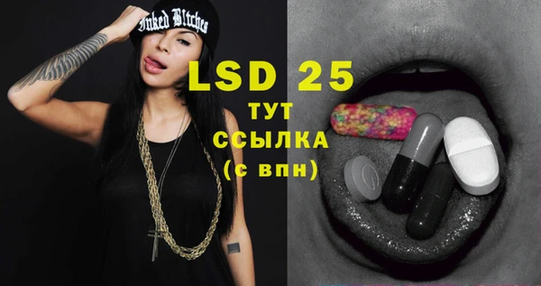 гашик Нефтекумск