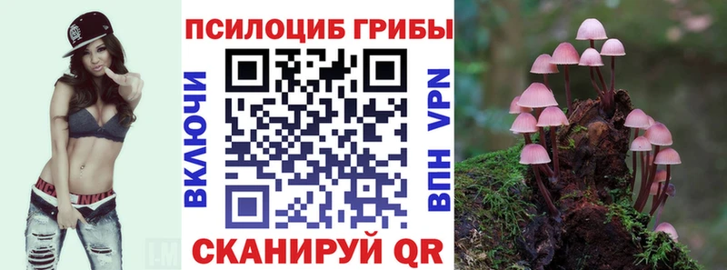 Псилоцибиновые грибы MAGIC MUSHROOMS  купить закладку  omg онион  Санкт-Петербург 