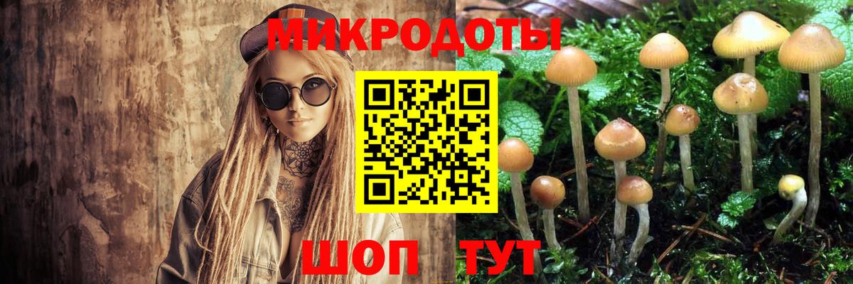 Псилоцибиновые грибы GOLDEN TEACHER  Вход с VPN  Санкт-Петербург 