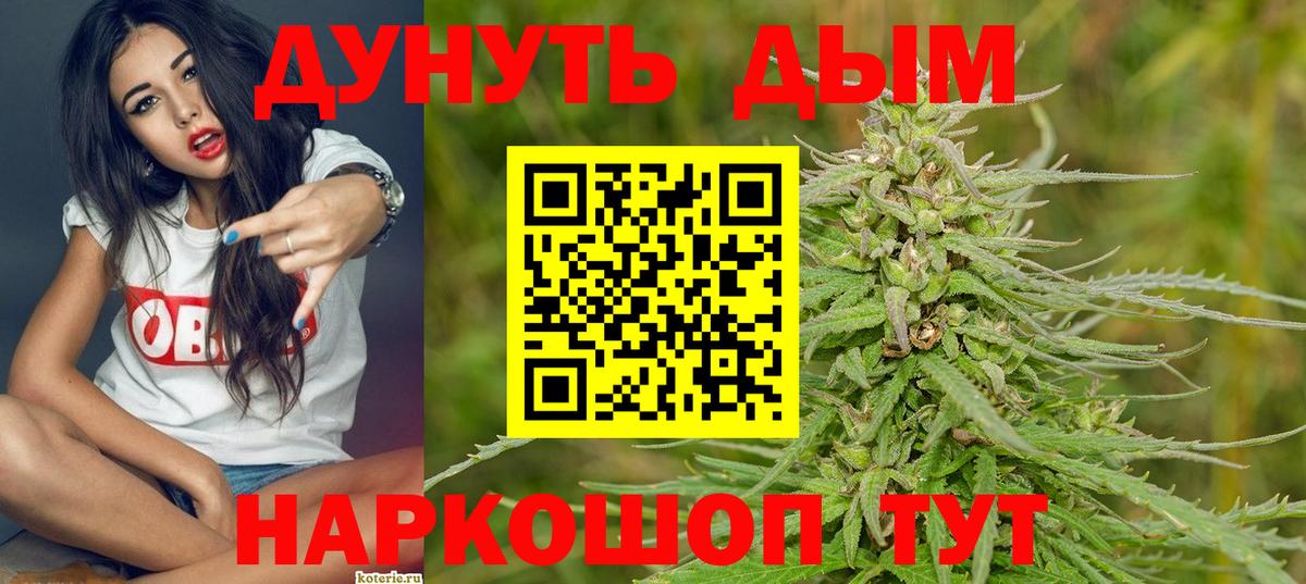 Каннабис план Санкт-Петербург